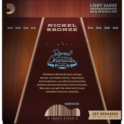 D'Addario NBM1038, 010 - 038 Nickel Bronze Light
